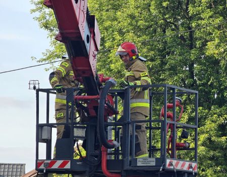 Konary wisiały nad jezdnią. Interweniowała straż pożarna