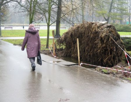 Park zdewastowany, posprzątać nie można