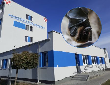 Taka wizyta nie zdarza się co dzień. Skrzydlaty gość odwiedził szpital