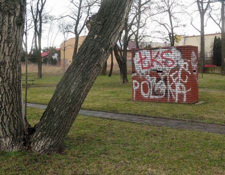 Miał być ozdobą, służy za śmietnik