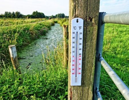 Pogoda na weekend. W niedzielę może zagrzmieć