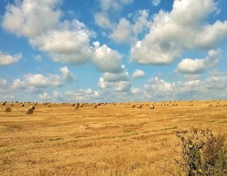 Rośnie liczba wypadków w rolnictwie