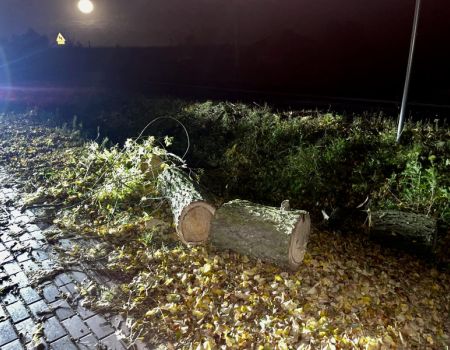 Brak prądu i połamane drzewa. Strażacy usuwali skutki silnego wiatru