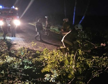 Przewrócone drzewo na jezdni. Droga jest zablokowana