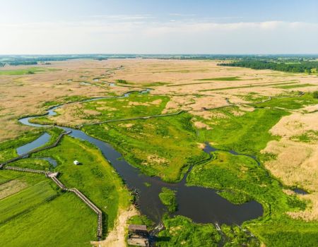 PGE wspiera Magurski Park Narodowy oraz Narwiański Park Narodowy