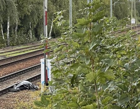 Kolejne śmiertelne potrącenie na torach w Piotrkowie