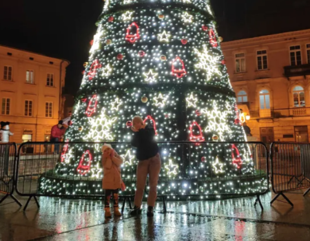 Dlaczego miejska choinka została ogrodzona?