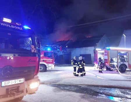 Pożar w Stadzie Ogierów w Bogusławicach