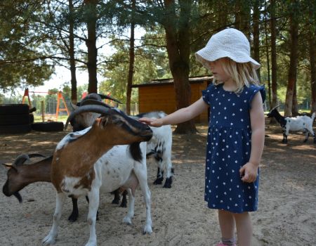 Hubisiówka - niezwykłe mini zoo w regionie