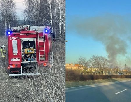 Paliły się torfowiska w Piotrkowie