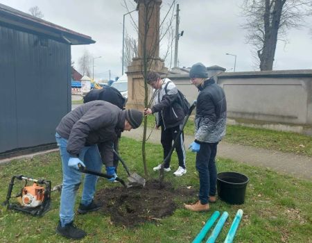 Dzięki uczniom skwer będzie jeszcze bardziej zielony