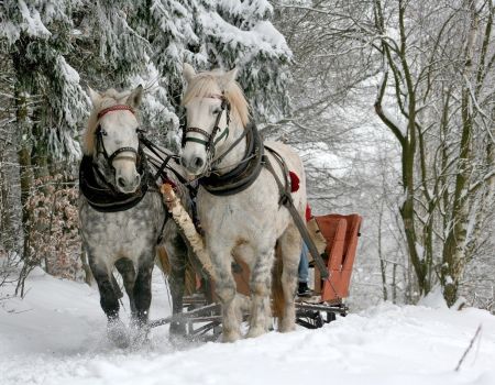 Zimowe, tradycyjne kuligi saniami w Zakopanem z pochodniami, kapelą i ogniskiem