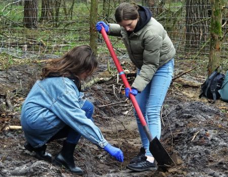 Zasadzili tysiące dębów na Międzynarodowy Dzień Ziemi [ZDJĘCIA]