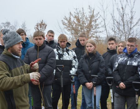 Posadzili nowe drzewa przy zbiorniku Bugaj  w ramach akcji 