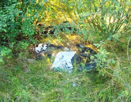 Śmieciowe problemy w gminie Rozprza