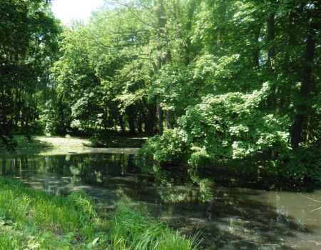 Zabytkowy park w Moszczenicy odzyska dawną świetność 