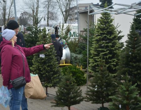 Tłumnie na miejskim bazarze. Robimy przedświąteczne zakupy [ZDJĘCIA]