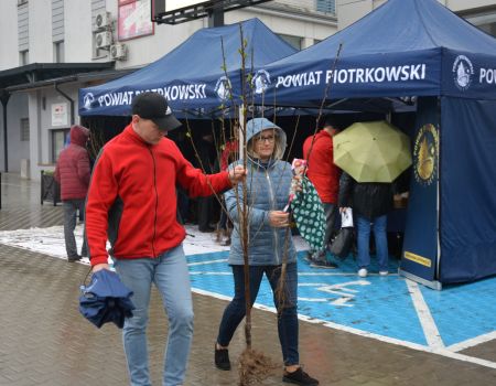 Znów nakręcają na zieleń