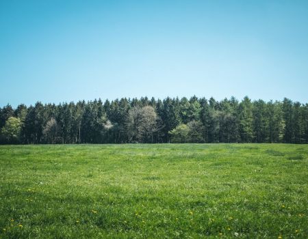 Kupno działki - na co należy zwrócić uwagę?