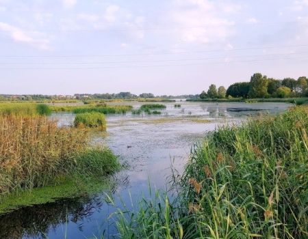 Posprzątają Bugaj po brudasach