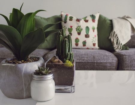 Poduszki dekoracyjne – must have w każdym domu