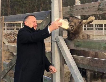 Starostwo przekazało prezent Osadzie Leśnej