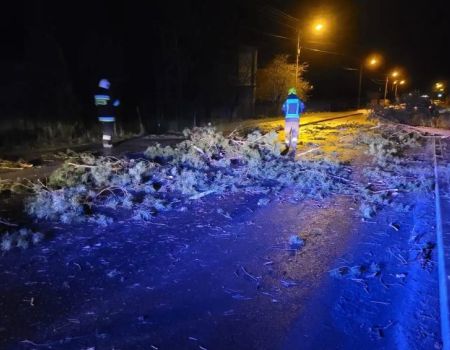 Samochód uderzył w powalone drzewo