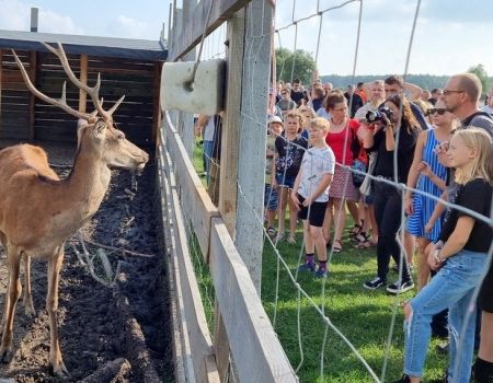 Piknik w Leśnej Osadzie Edukacyjnej (ZDJĘCIA)