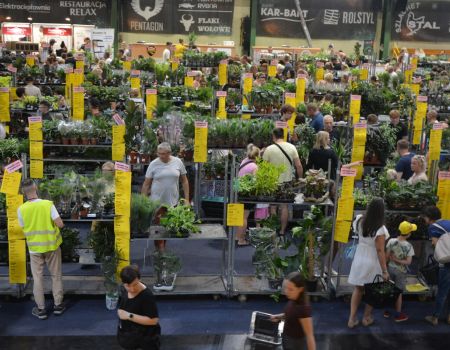 Rozpoczął się drugi dzień Festiwalu Roślin w Piotrkowie. Sprawdź, co kupili dziś mieszkańcy