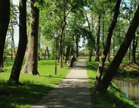 Przyrodnicza perła województwa łódzkiego. Zabytkowy park w Woli Krzysztoporskiej