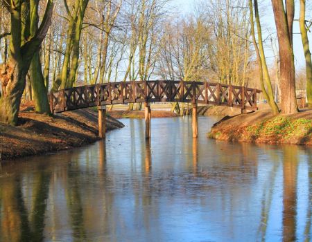 Dbaj i nie niszcz! Zabytkowy park w Moszczenicy ma służyć wszystkim mieszkańcom