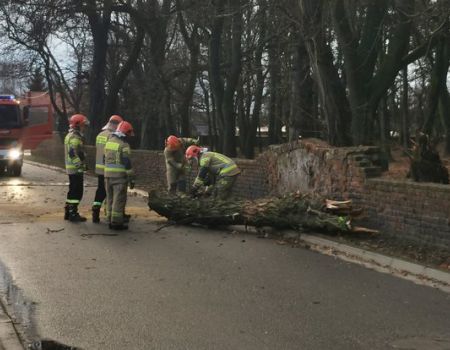 Powalone drzewa, przewrócone samochody i brak prądu