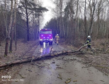 Sprzątanie po Nadii zakończone