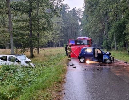 Śmiertelny wypadek między Piotrkowem a Kołem (ZDJĘCIA)