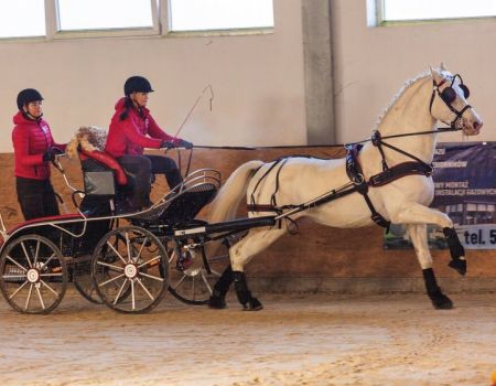 Wiemy kto powozi najlepiej (FOTO)