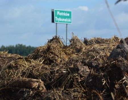 Gnojem w kierowców