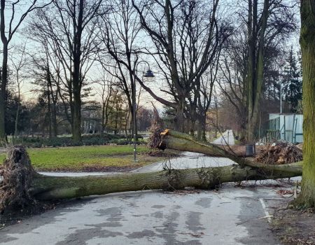 Można przesunąć, ale nie usunąć. Trudno to zrozumieć