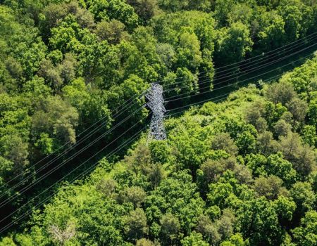 PGE zaprasza na warsztaty online dla wykonawców prac w obszarze dystrybucji energii elektrycznej