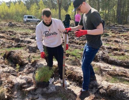 Rusza piąta edycja Festiwalu Wolontaryjnego EY GDS Polska. Pracownicy zasadzą 4000 drzew