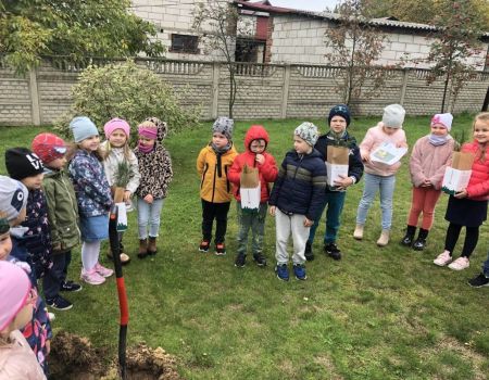 Przedszkolaki sadziły drzewka