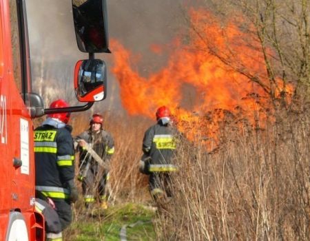 Pożar w gminie Grabica