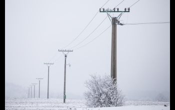 PGE informuje o licznych wyłączeniach prądu w Piotrkowie