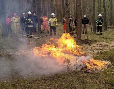 Ćwiczenia terenowe z gaszenia pożarów lasów