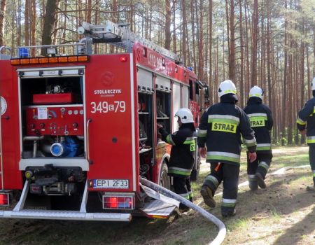 Pożary lasów w powiecie piotrkowskim. Strażacy apelują o rozwagę