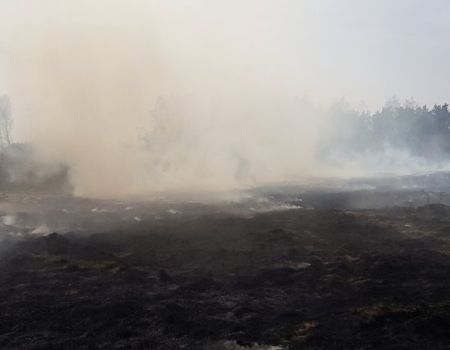 Pożary traw w gminie Gorzkowice. Codziennie