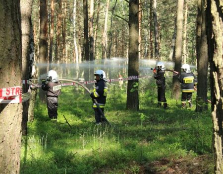 Ćwiczyli, jak gasić las