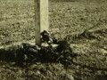 Pamitkowy krzy na podpiotrkowskich polach przy zbiorowej onierskiej mogile (lata powojenne)  