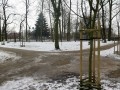 Tnia ma znale si m.in. w parku ks. Poniatowskiego/Fot. . Michalczyk