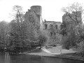 Fotografia ruin XVI-wiecznego zamku w Drzewicy (pow. opoczyński) / AP w PT