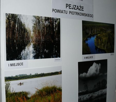 www.powiat-piotrkowski.pl